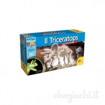 Il Triceratops lo scheletro...