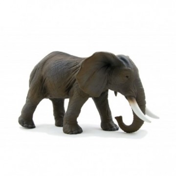MOJ Elefante Africano